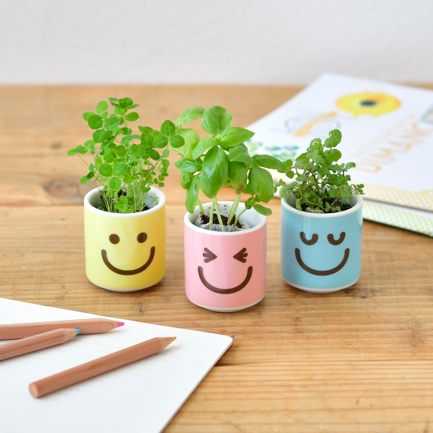pink and green plant pot Happy Plant Planters, Yellow (Super Happy)
