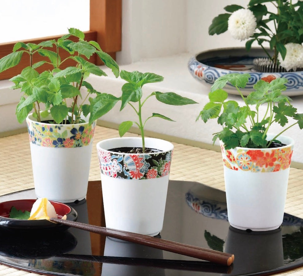 japanese ceramic flower pots Wagokoro Yakumi GD104901 Shiso