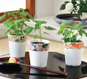 Wagokoro Yakumi - NEW Janaury 2026