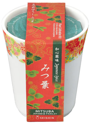 Wagokoro Yakumi - NEW Janaury 2026