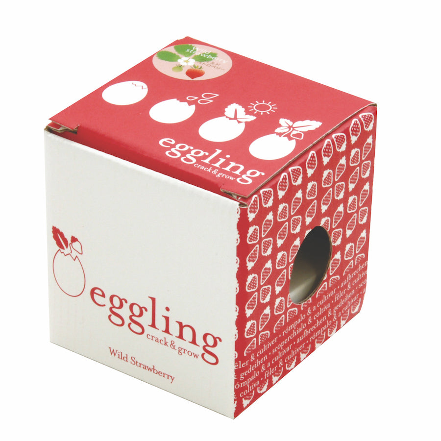 Wild Strawberry Eggling Wild Strawberry Eggling