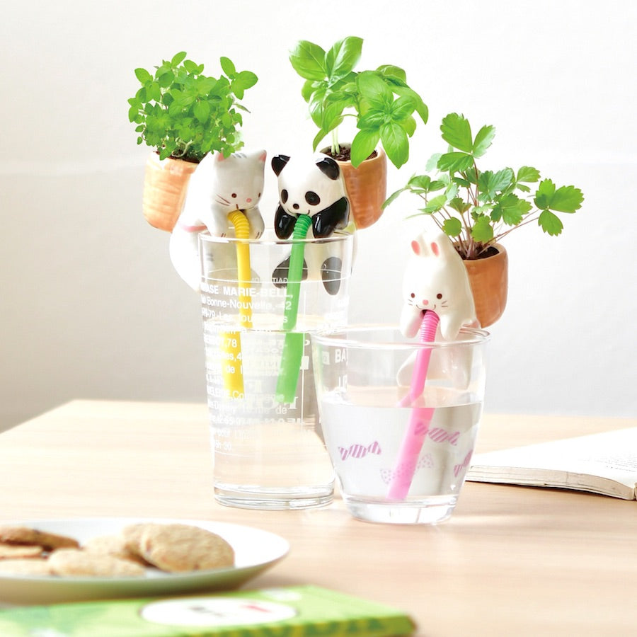 animal self watering planter Chuppon Panda