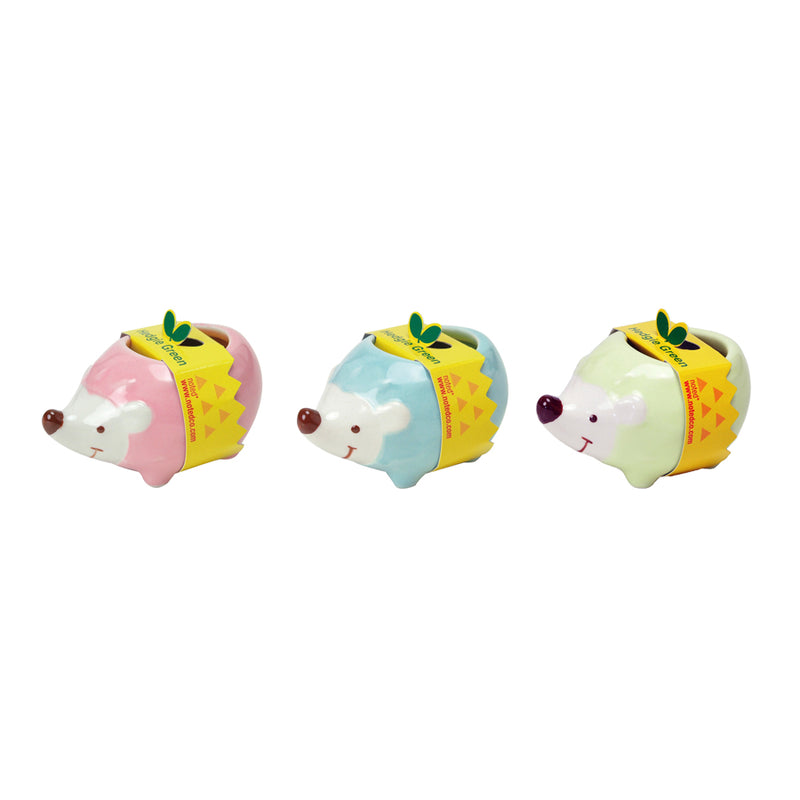 Hedgie Greens - Cute & Sweet - Set of All Three!