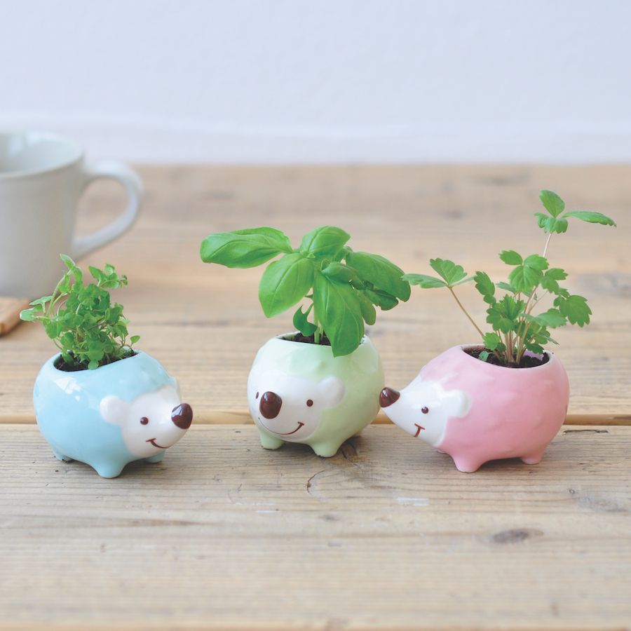 hedgehog planter pot Hedgie Green Peppermint