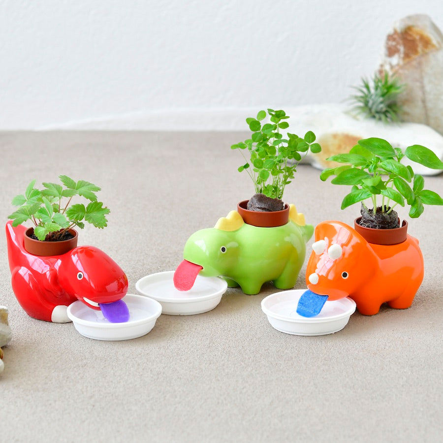 GD893_GreenZaurus_Growing_3024