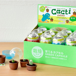 Green Capsule - Set of All 4 Cacti Cuties!