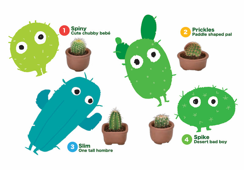 Green Capsule - Set of All 4 Cacti Cuties!