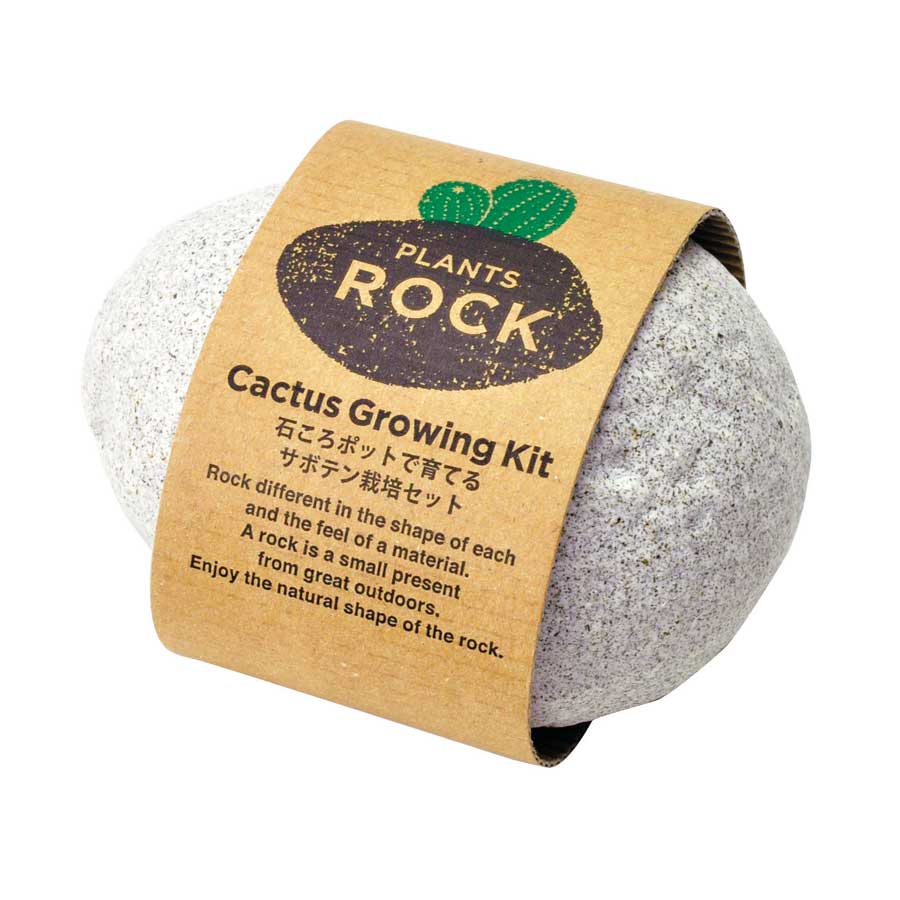 Plant Rocker Plants Rock